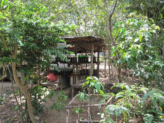 Activated EM?1 bottles storage