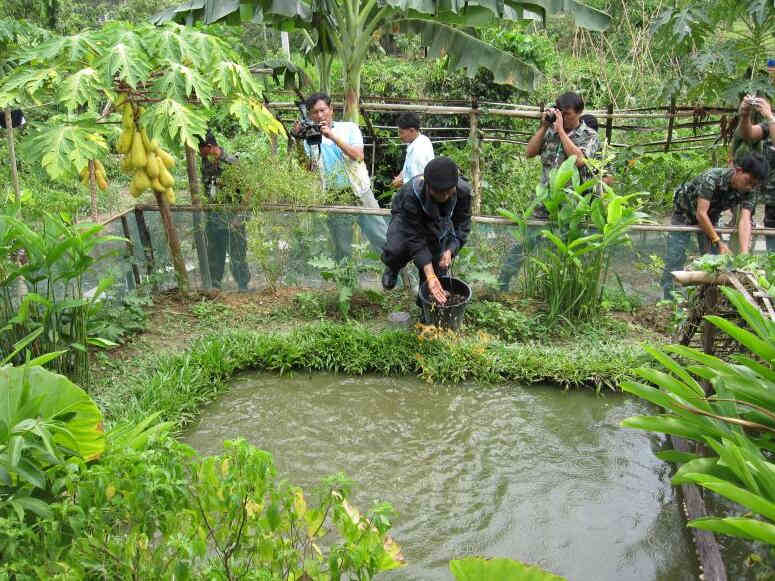 充足經(jīng)濟(jì)項目