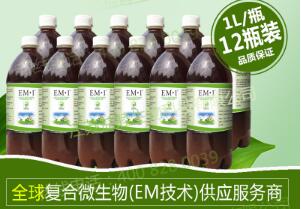 EM原液產(chǎn)品改善非洲貧民窟生存環(huán)境