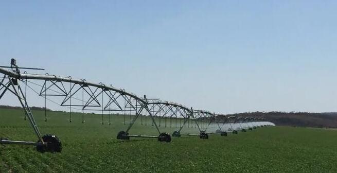 EM菌肥的合理使用有助于農(nóng)場(chǎng)大蒜和洋蔥的生長(zhǎng)