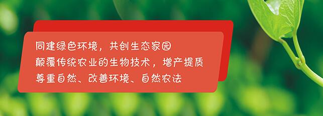 EM菌種團(tuán)隊(duì)研發(fā)的植物酵素飲料特點(diǎn)有哪些