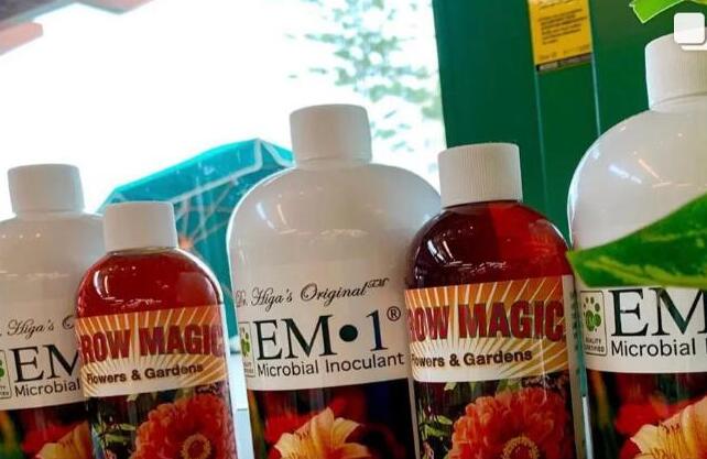 EM菌種技術(shù)在世界其他國(guó)家也有相應(yīng)的產(chǎn)品研發(fā)