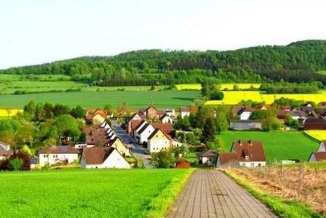 EM研究機(jī)構(gòu)鑒文：EM微生物都在土壤中干些啥？