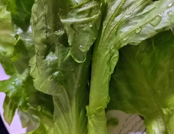 EM菌種研發(fā)公司詳細(xì)介紹EM產(chǎn)品在種植業(yè)領(lǐng)域起到的作用