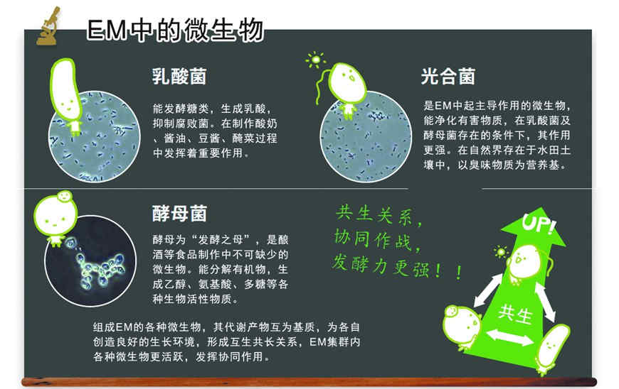 EM技術(shù)領(lǐng)域應(yīng)用比較多